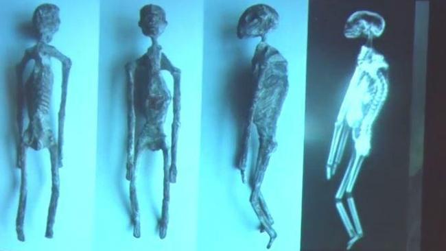 3 finger mummy 2025 peru discovered hoax