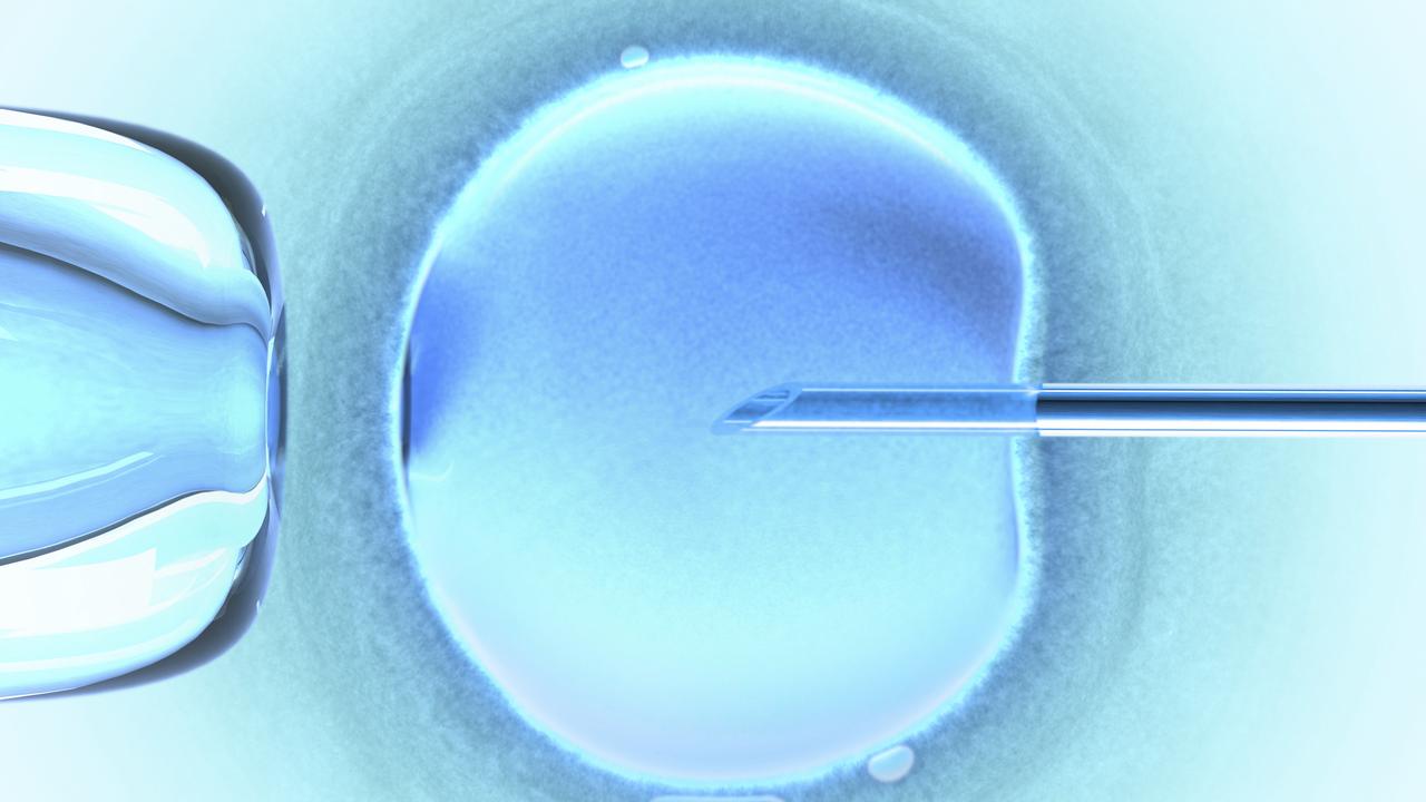 A female egg being inseminated via IVF.