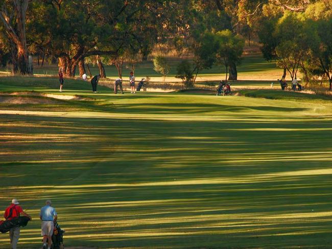 Tanunda Pines Golf Club, 39 Pioneer Ave, Rowland Flat. Pic: supplied.