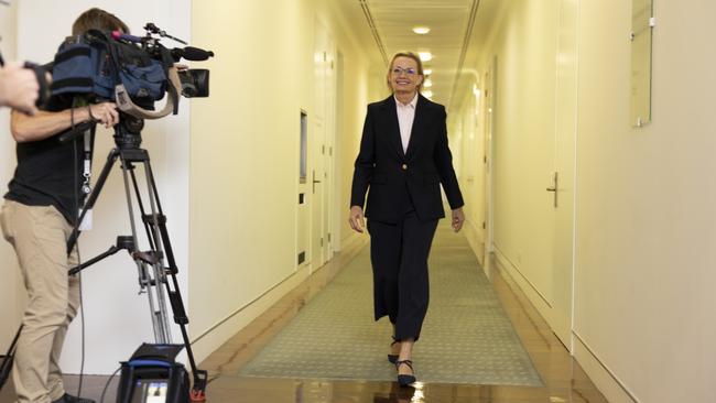 Sussan Ley will become the Coalition’s first female leader. Picture: NewsWire / David Beach