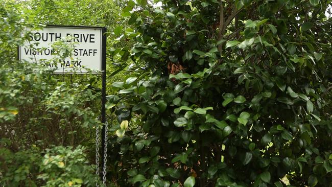 The site has become overgrown. Picture: Hamish Blair