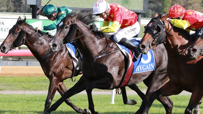 Black Opal winner Barbaric (white cap) can resume with a win at Wyong on Wednesday. Picture: Grant Guy