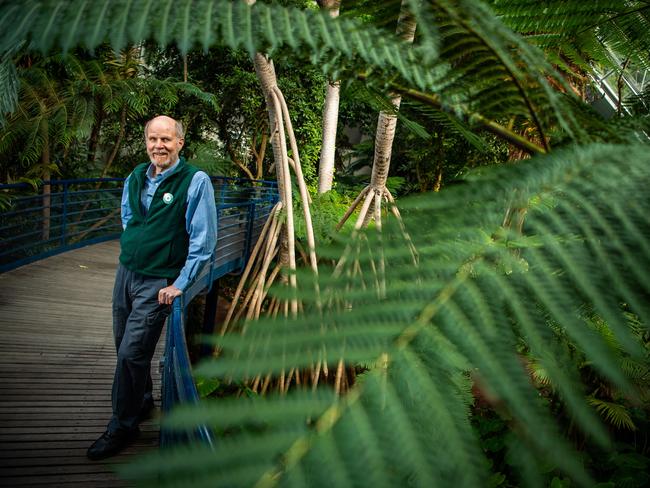 Volunteer guide Greg Lane, 65, inside the Bicentennial Conservatory, on May 11th, 2021, at the Adelaide Botanic Gardens.Picture: Tom Huntley