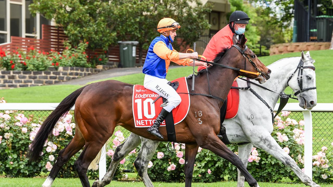 Ladbrokes Cox Plate