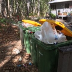 Bins in the eco precinct of the Couran Cove Island Resort