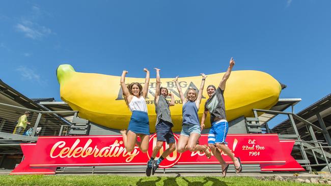 The two day festival BananaFest aims to appeal to music and food lovers, providing a family friendly experience celebrating the community. Picture: Gethin Coles