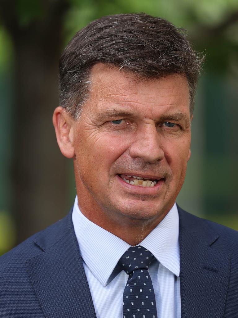 Federal Energy Minister Angus Taylor. Picture: NCA NewsWire / Gary Ramage