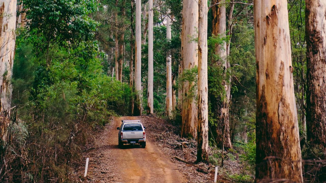 tours of south west western australia