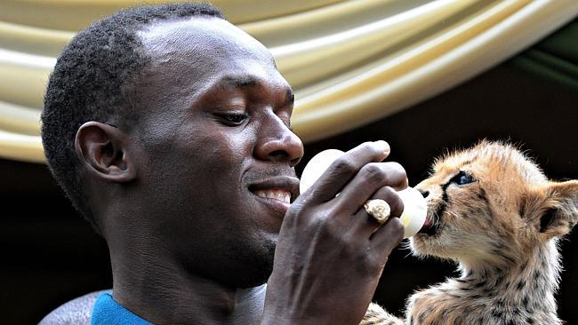 Usain Bolt owns a pet cheetah named Lightning Bolt