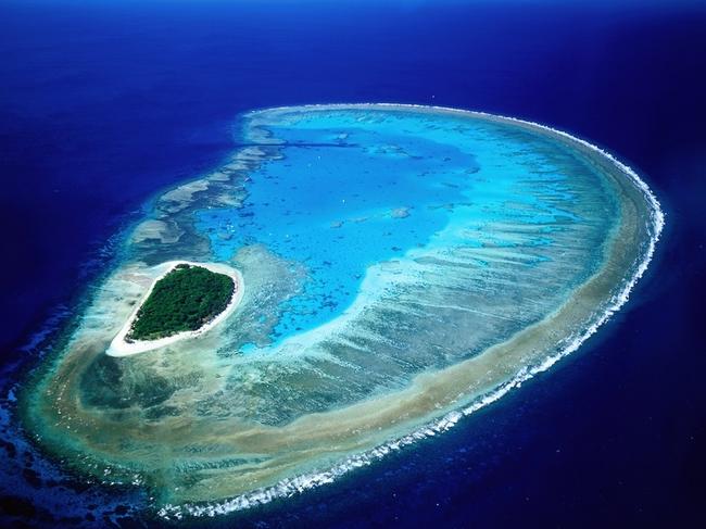 Lady Musgrave Island aerial