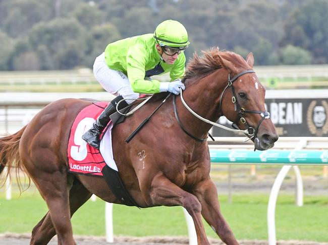 Reserve Bank is an outside chance to notch his maiden Group 1 win in Saturday's William Reid Stakes at The Valley. Picture: Racing Photos via Getty Images.