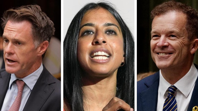 NSW Premier Chris Minns and Opposition Leader Mark Speakman have slammed anti-abortion activist Joanna Howe.
