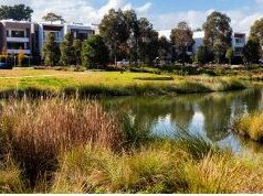 An image included in the draft Ingleside Place Strategy showing indicative medium density housing that would have been built in the redevelopment precinct. Picture: Cox Architecture