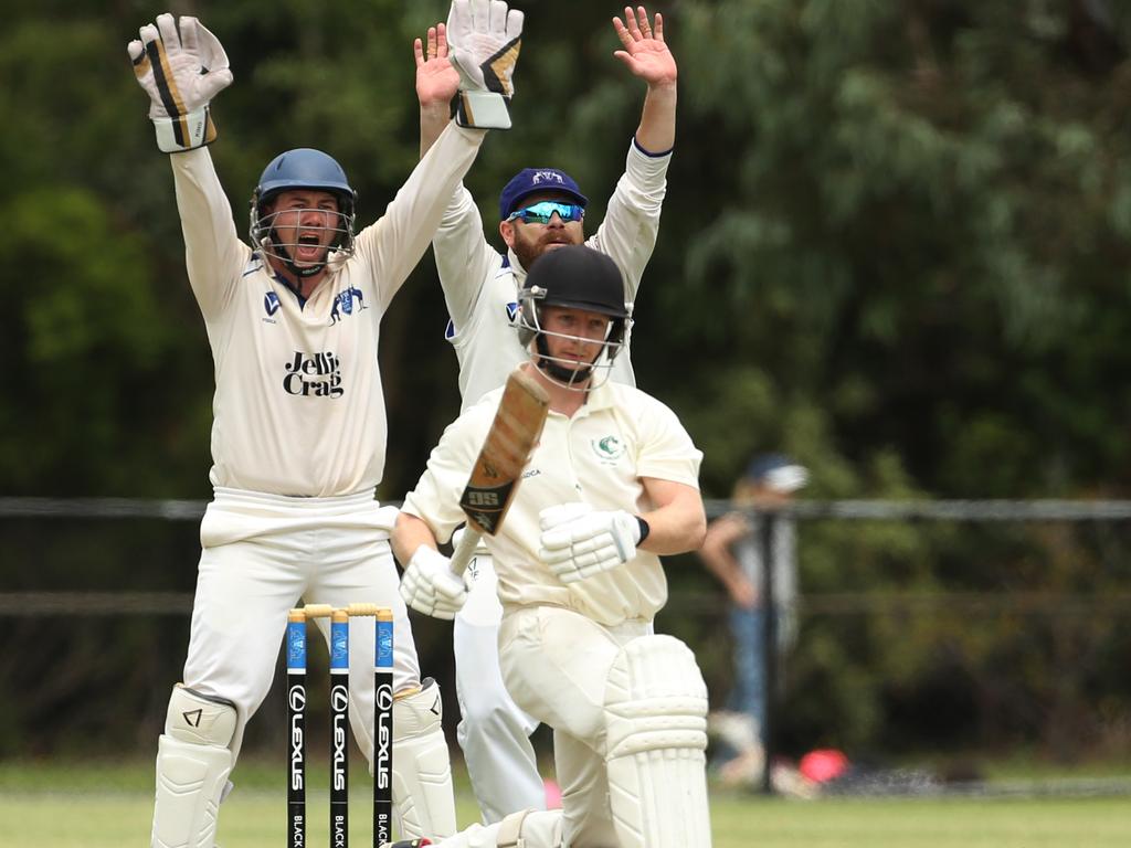 VSDCA - Mt Waverley keeper Ben Holking leads the appeal against Croydon batsman William Pleming. Picture: Stuart Milligan