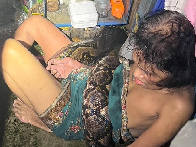 This is the astonishing moment a grandmother was found alive - while being suffocated by a python in a four-hour attack. Arrom Arunroj, 64, had just finished eating dinner and was washing dishes in her outdoor kitchen when she felt a sudden stab of pain in her right thigh. She looked down thinking it was a monitor lizard that had bitten her - only to see a massive 13ft reticulated python snaking up her leg. Mother-of-two Arrom said she panicked and tried to yank the python's head away from her. However, she fell over, which allowed the 45lbs beast to wrap itself tightly around her torso. The widow said she struggled for more than two hours before her screams were finally heard by a neighbour who then called the police to her home in Samut Prakan, Thailand, on September 17.  PACKAGE: Video, pictures, text