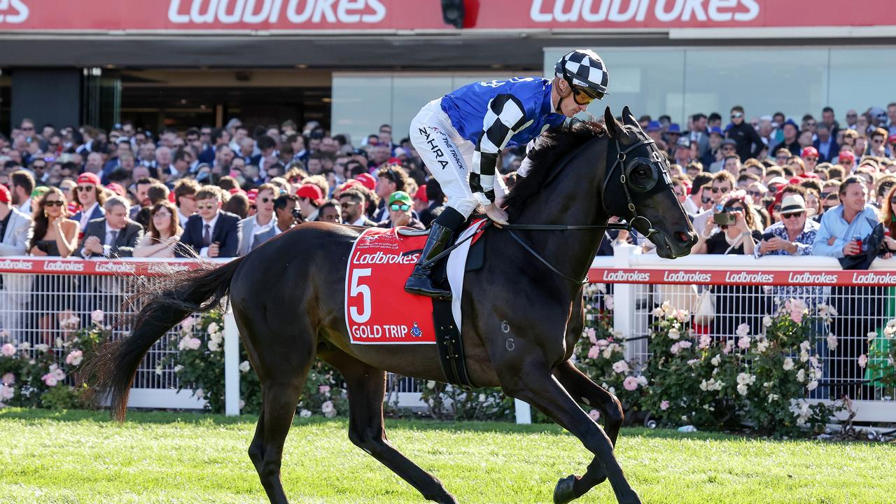 Melbourne Cup 2023 Betting: Gold Trip Shortens Ahead Of Light Week ...