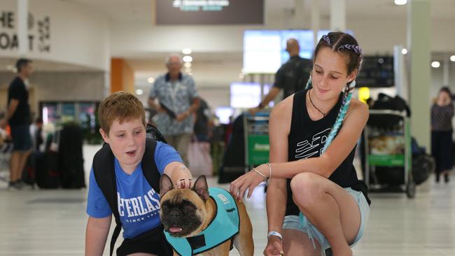 Noah Turnbull 9 and Estella Turnbull 12 from New Zealand interact with therapy dog Ranji at Gold Coast Airport . Picture: Glenn Hampson