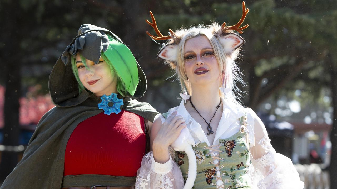 SA Medieval Fair in Paracombe. Picture: Brett Hartwig