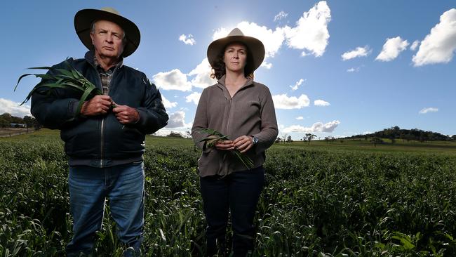 CMNEWS_Grazier Sid Plant and his daughter Tanya pictured here on their property near the New Hope mine in Acland Thursday July 9th, 2015. Pictures: Jack Tran / The Courier Mail