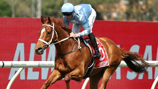 SYDNEY, AUSTRALIA - SEPTEMBER 28: Tommy Berry riding First Light wins Race 3 Toyota Forklifts Colin Stephen Quality during "Golden Rose Day" Sydney Racing at Rosehill Gardens on September 28, 2024 in Sydney, Australia. (Photo by Jeremy Ng/Getty Images)