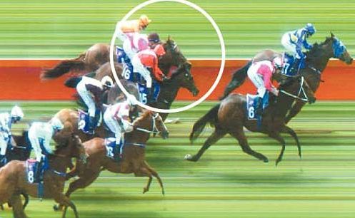 Punters dudded? You betcha | The Courier Mail