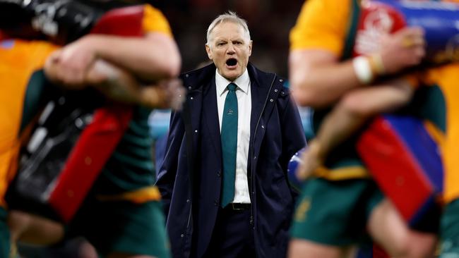 Wallabies coach Joe Schmidt.