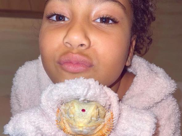 Kim Kardashian's daughter North with her pet bearded dragon Speed. Picture: Instagram