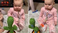 Baby's hysterical gossip sesh with cactus goes viral