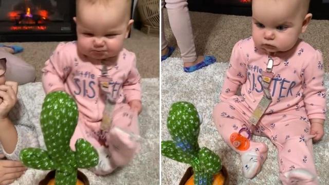 Baby's hilarious gossip sesh with cactus goes viral on TikTok