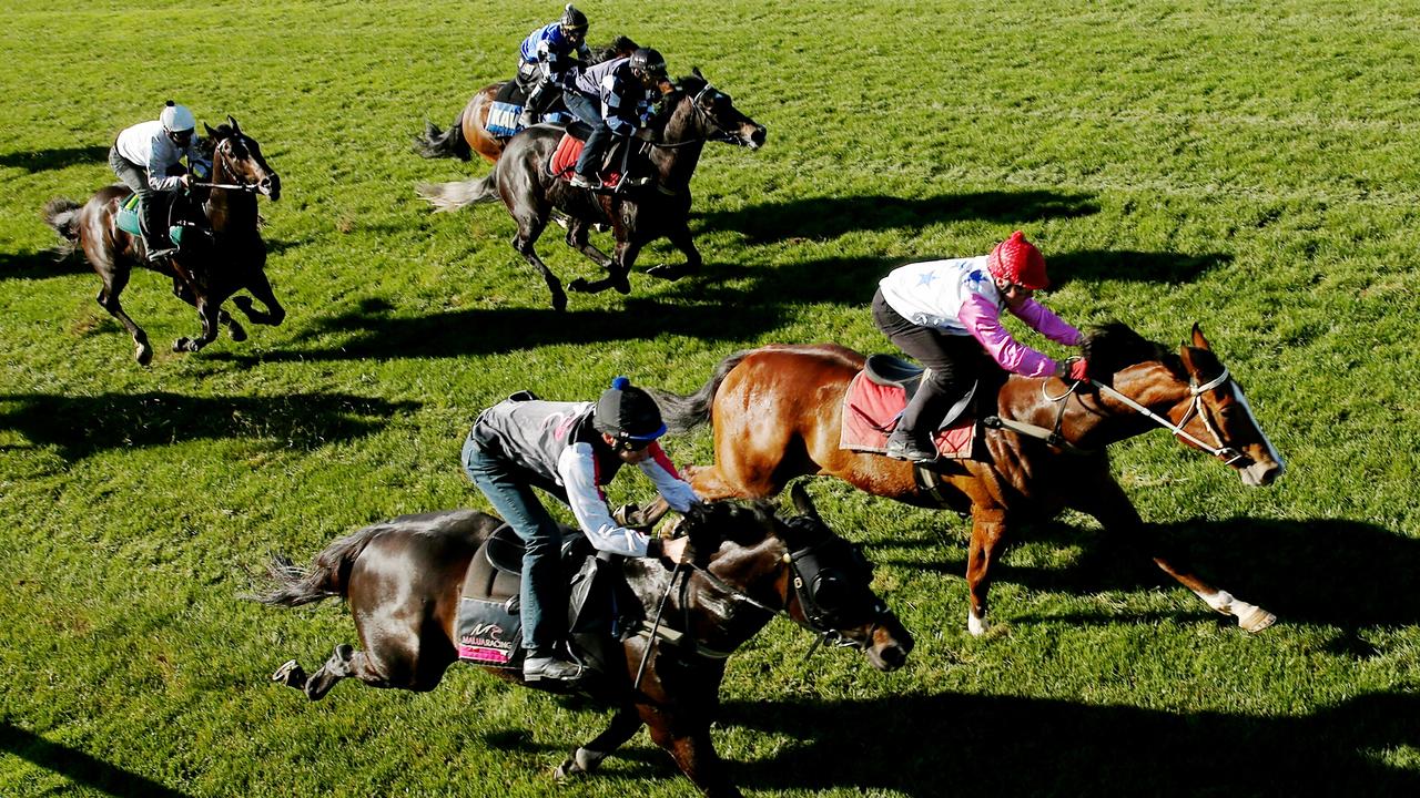 RV acts as peacemaker in jumpout stoush