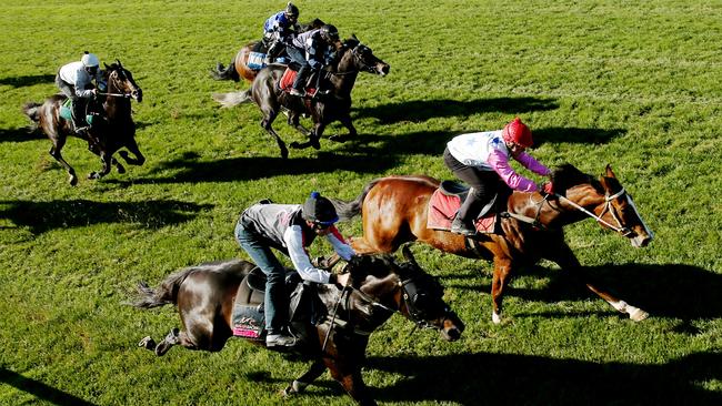 Flemington trackwork, (red cap) Top Dolly the Tommy Hughes trained wins the jump out  from Sweet As Bro. Melbourne. 22nd August 2014. Picture : Colleen Petch.