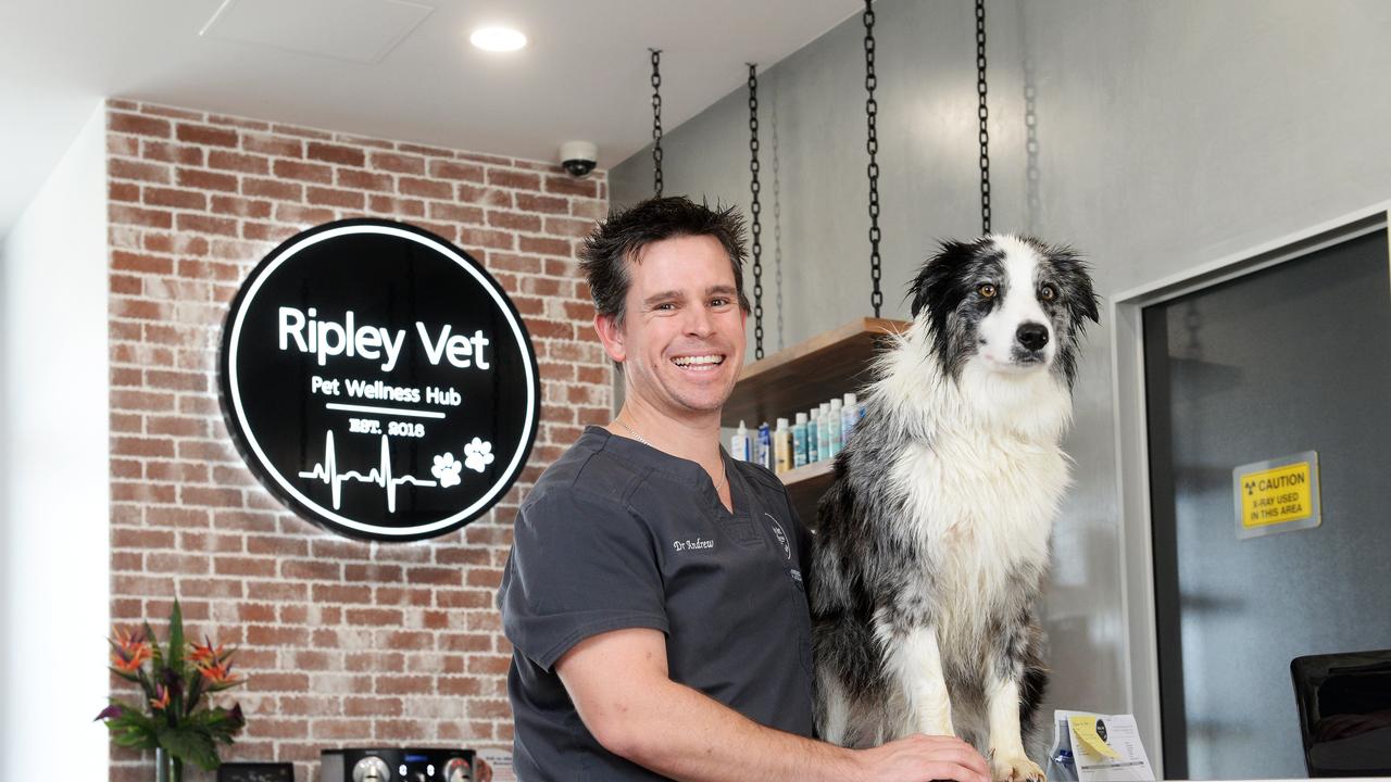 Dr Andrew Hemming from Ripley Veterinary Hospital shares tip to keep pets  calm during fireworks displays | Townsville Bulletin