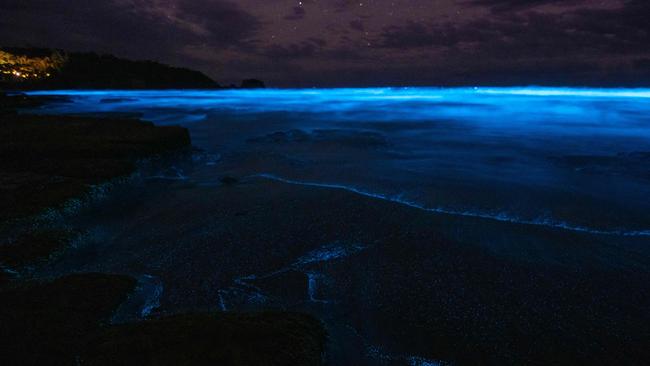 Bioluminescence event on Tasman Peninsula at the Tessellated Pavements on Christmas Day. Picture: Robbie Moles