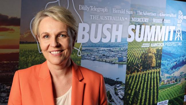 Environment Minister Tanya Plibersek is under pressure front up to The Daily Telegraph’s Bush Summit and explain why she vetoed a $1bn gold mine. Picture: Liam Kidston