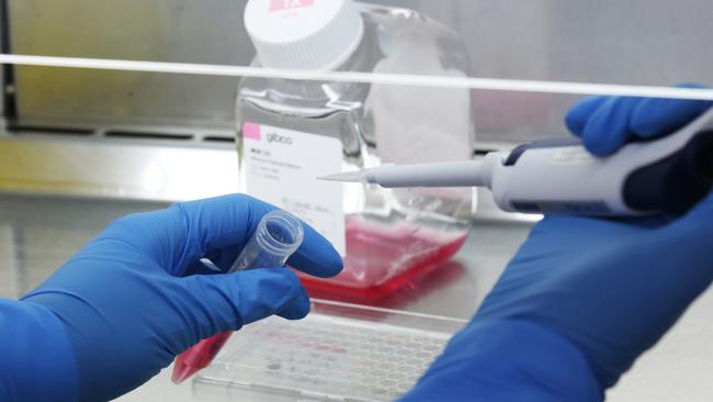 Victorian researchers will receive $184 million in funding