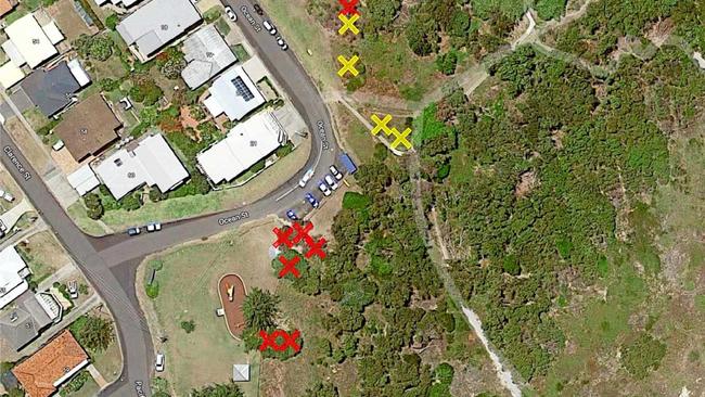 The sites of where some of the trees have been destroyed. Picture: Clarence Valley Council