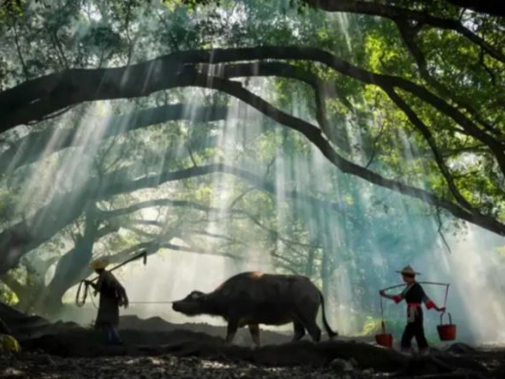 Tourists are flocking to Xiapu County in China to take photos of staged scenes of rural life. Picture: Travel Career/Weibo