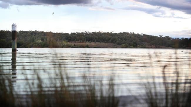 Kathryn Grosvenor's body was found floating naked in the reeds near Yarralumla in Lake Burley Griffin in 2002. Picture: Kym Smith