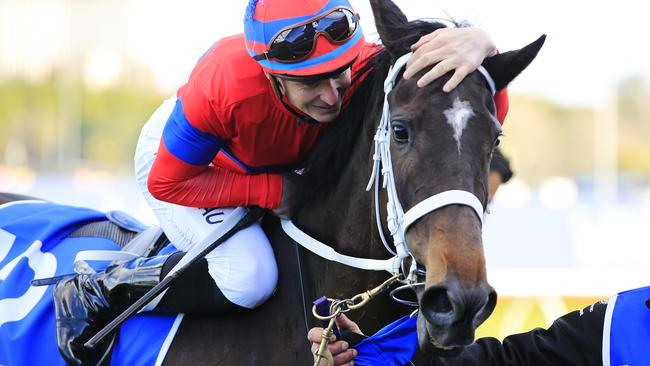 Very Elleegant is Chris Waller’s new leading lady this spring. Picture: Getty Images