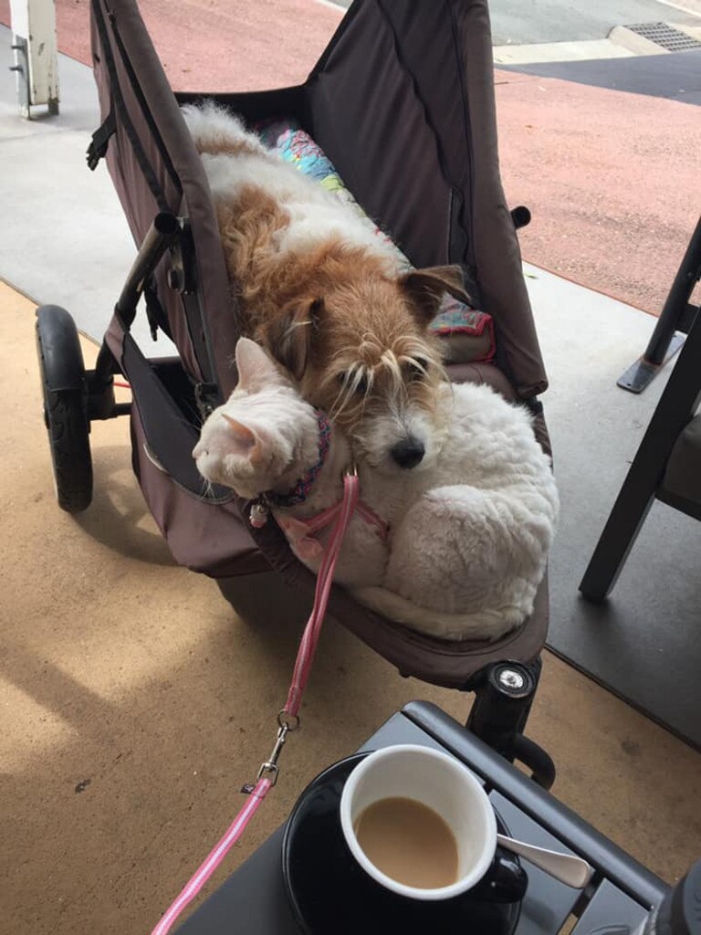 Millie and Katy out for a coffee.