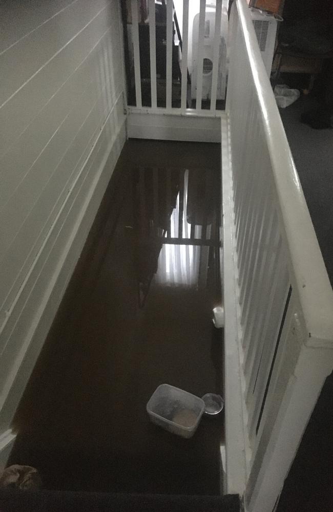 The 11 people sheltering in the flat above Clean and Green Laundry watched the water creep up the stairs.