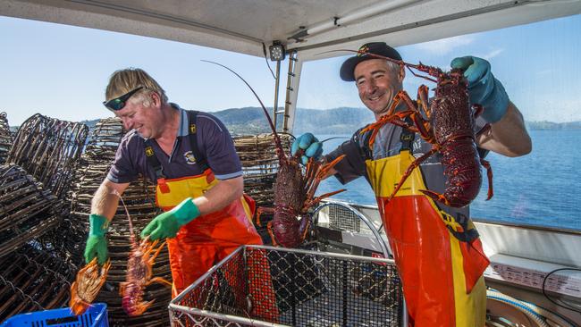 Tasmanian Rock Lobster fishermen Steve Lichtendonk (L) and Andrew Kent after arriving back to port in Margate with their China-bound catch.