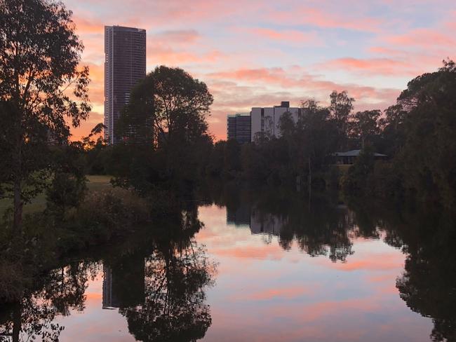 Morning run through Parramatta Park at 6am. #SnapSydney 2018. Picture: @finnstagram2142