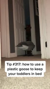 Mum, Taylor, shared a video to TikTok of how she uses a goose to keep her son from leaving his bedroom at night.
