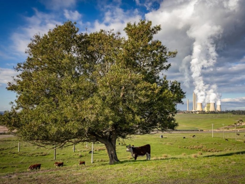 Loy Yang in Victoria is a proposed nuclear site. Picture: Jake Nowakowski