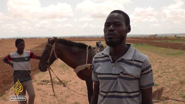 Chad food insecurity: Climate change threatens future of farming | news ...