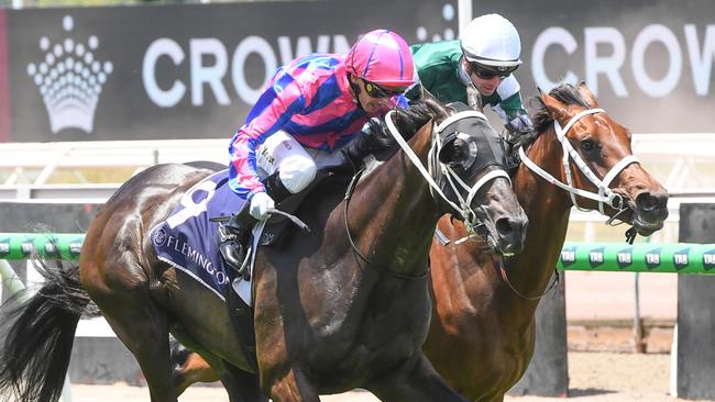 Thedoctoroflove ridden by Daniel Moor wins the National Jockeys Trust Trophy at Flemington Racecourse on January 11, 2025 in Flemington, Australia. (Photo by Brett Holburt/Racing Photos via Getty Images)