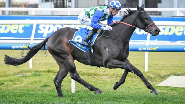 Leading Flemington fancy Astero was a five-length winner at Caulfield at his last appearance. Picture: Racing Photos via Getty Images