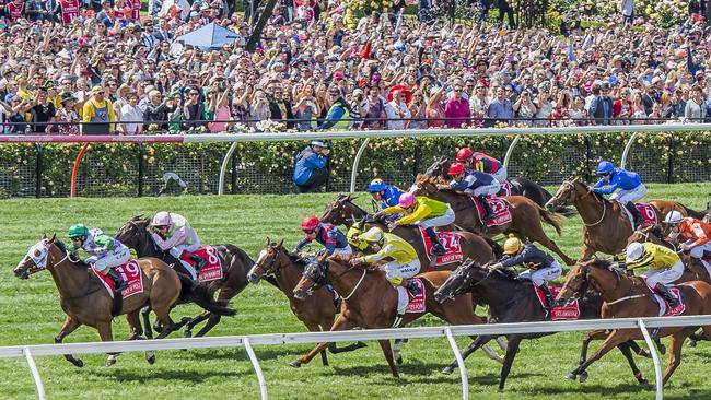 A famous victory: Prince Of Penzance wins the 2015 Melbourne Cup. Picture: Jason Edwards