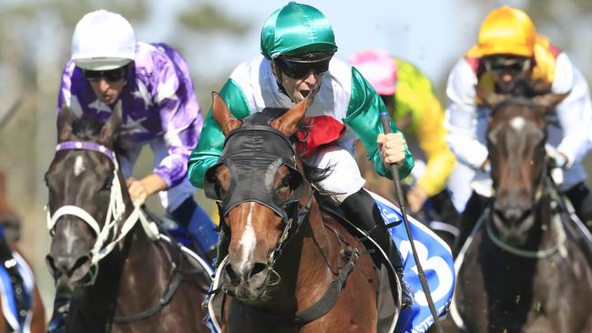 Castelvecchio will be chasing his second Group 1 win in the Randwick Guineas. Picture: Getty Images